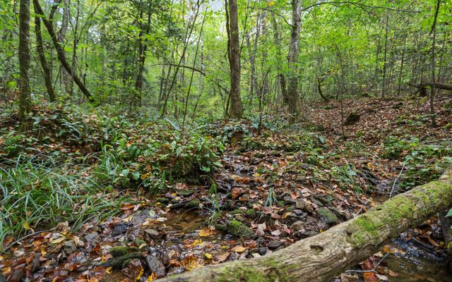 1955 Cavender Gap Road, Suches, GA 30572