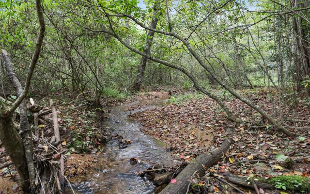 1955 Cavender Gap Road, Suches, GA 30572