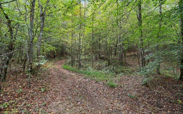 1955 Cavender Gap Road, Suches, GA 30572
