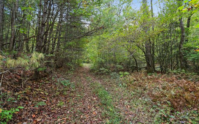 1955 Cavender Gap Road, Suches, GA 30572
