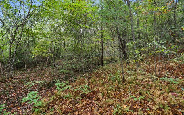 1955 Cavender Gap Road, Suches, GA 30572