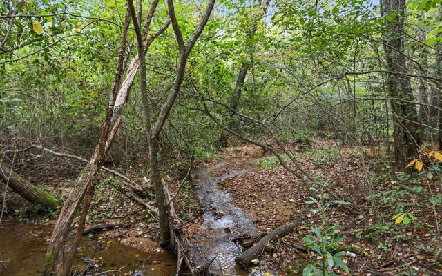 1955 Cavender Gap Road, Suches, GA 30572