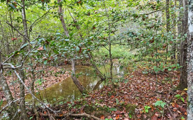 1955 Cavender Gap Road, Suches, GA 30572