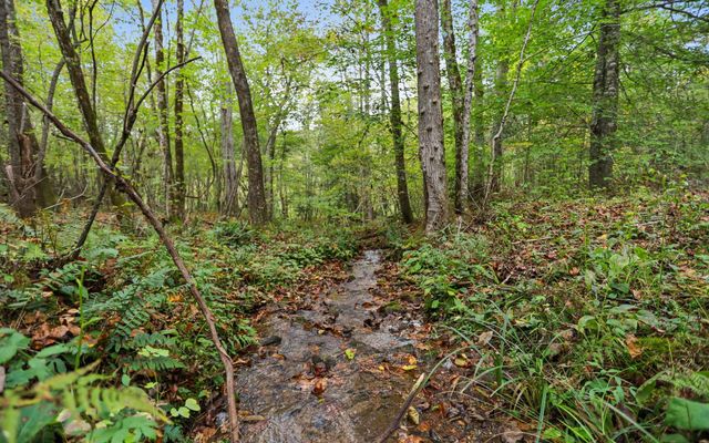1955 Cavender Gap Road, Suches, GA 30572