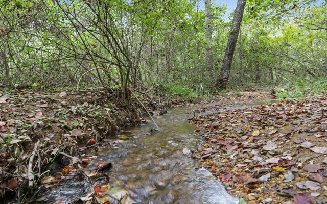 1955 Cavender Gap Road, Suches, GA 30572