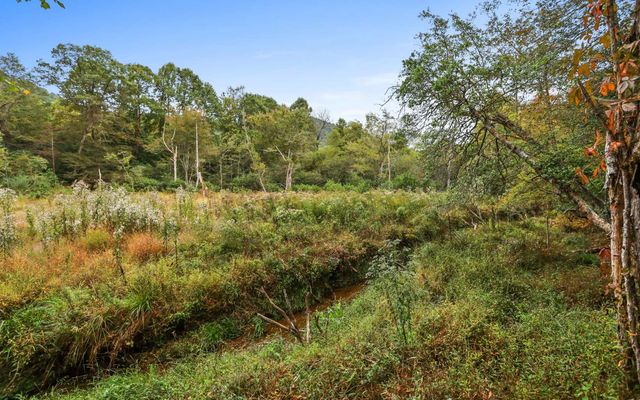 1955 Cavender Gap Road, Suches, GA 30572