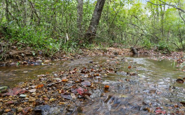 1955 Cavender Gap Road, Suches, GA 30572