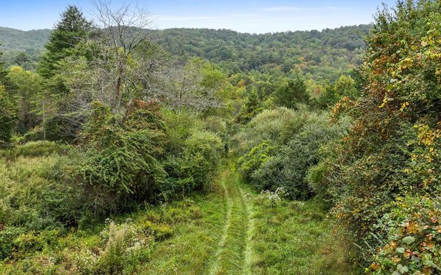 1955 Cavender Gap Road, Suches, GA 30572