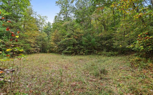1955 Cavender Gap Road, Suches, GA 30572