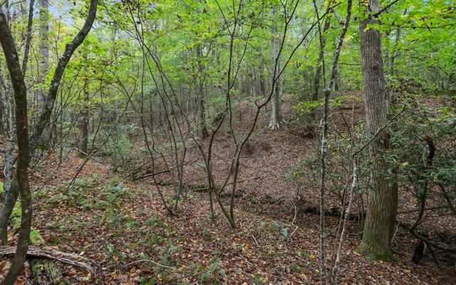 1955 Cavender Gap Road, Suches, GA 30572