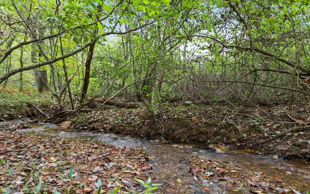 1955 Cavender Gap Road, Suches, GA 30572