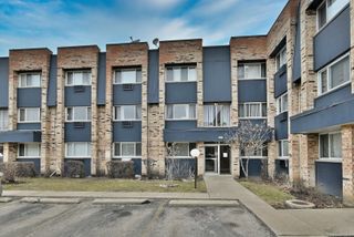 8637 1/2 W FOSTER Avenue 1B, Chicago, IL 60656
