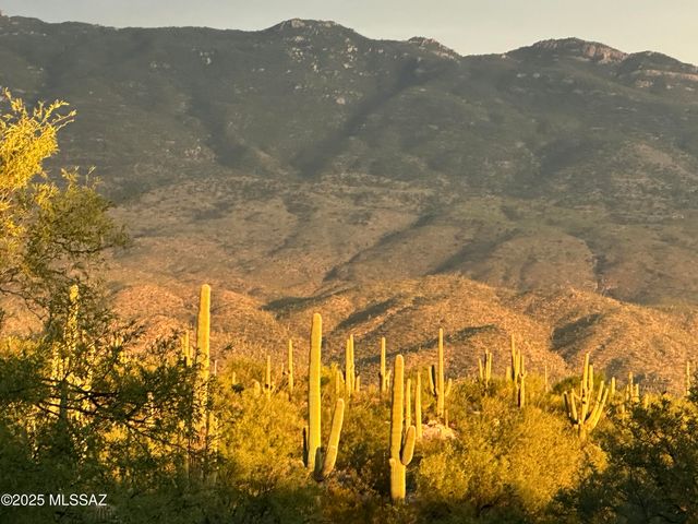 2580 N Avenida Sorgo N, Tucson, AZ 85749