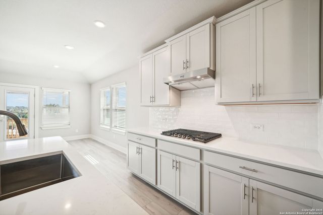 1306 Arcadian Rose, San Antonio, TX 78245