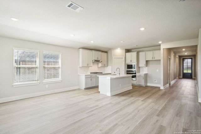 1306 Arcadian Rose, San Antonio, TX 78245