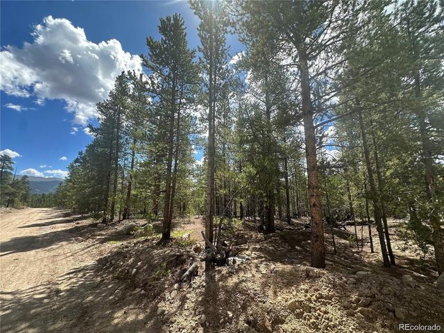 218 Aspen Dr, Leadville, CO 80461