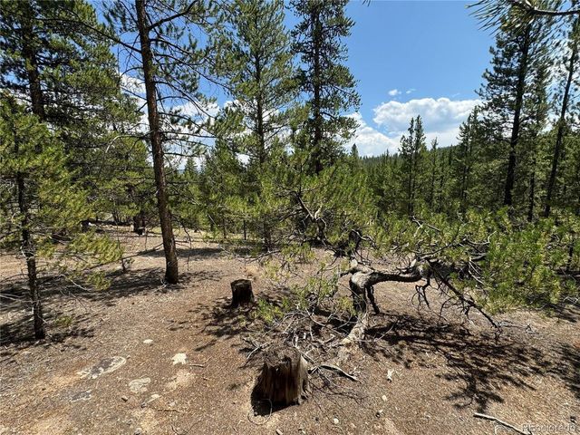 218 Aspen Dr, Leadville, CO 80461