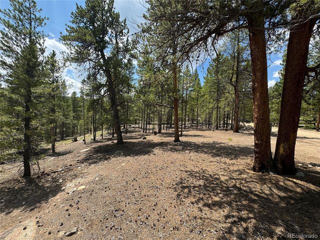 218 Aspen Dr, Leadville, CO 80461