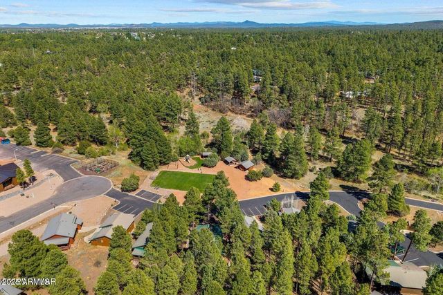 4881 TATANKA Drive, Show Low, AZ 85901