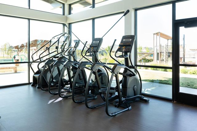 19818 Sienna Green Drive, Hockley, TX 77447