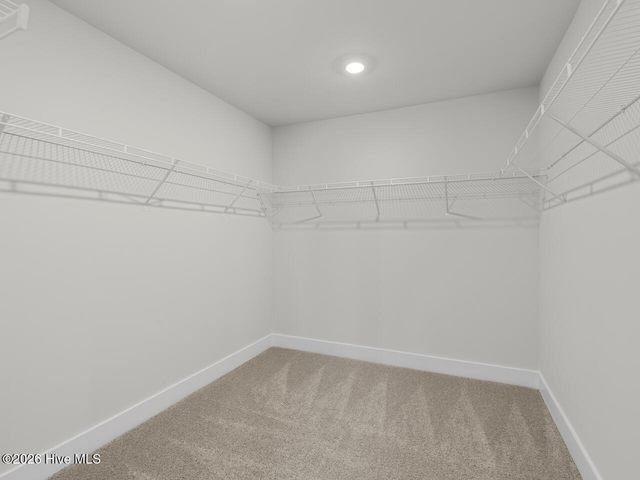 802 Ring Bill Court Lot 340, Sneads Ferry, NC 28460