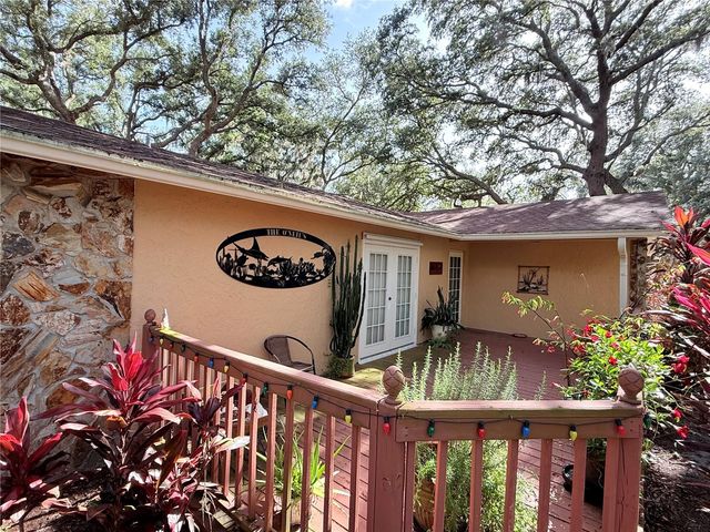 13828 FRIENDSHIP LANE, Odessa, FL 33556