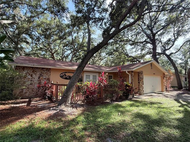 13828 FRIENDSHIP LANE, Odessa, FL 33556
