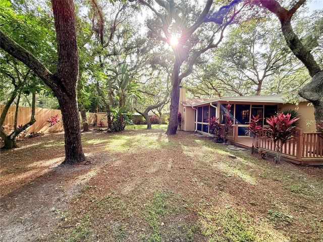 13828 FRIENDSHIP LANE, Odessa, FL 33556