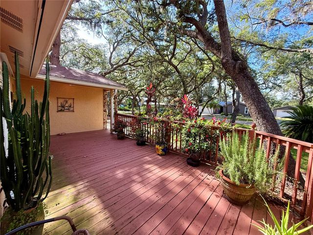 13828 FRIENDSHIP LANE, Odessa, FL 33556