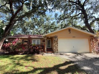 13828 FRIENDSHIP LANE, Odessa, FL 33556