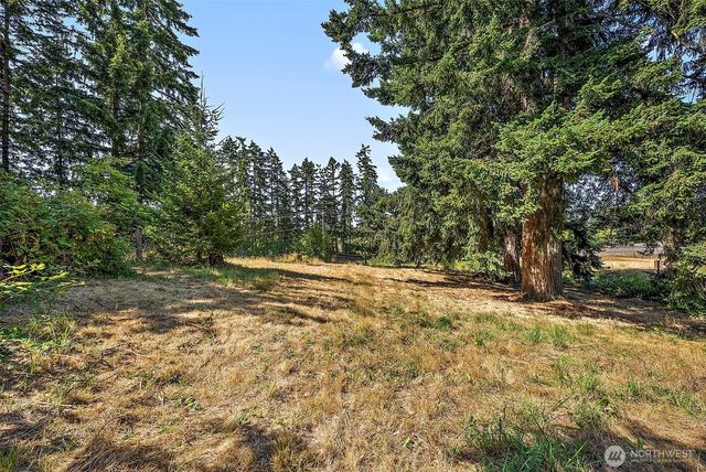 36703 Pulford Road E, Eatonville, WA 98328