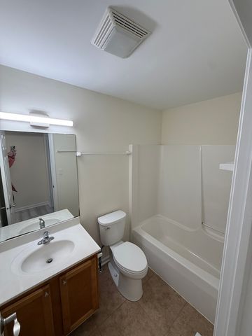 922 Bergera Street W, Braidwood, IL 60408