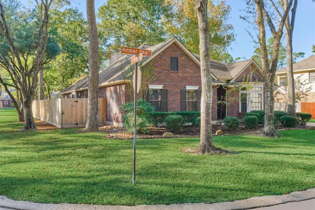 3 Amber Sky Place, The Woodlands, TX 77381