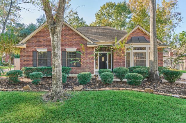 3 Amber Sky Place, The Woodlands, TX 77381