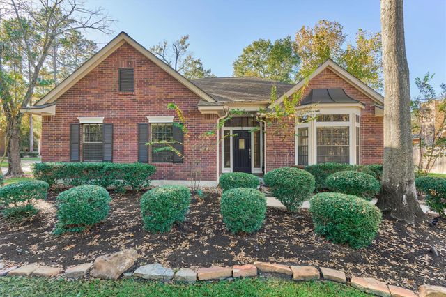 3 Amber Sky Place, The Woodlands, TX 77381
