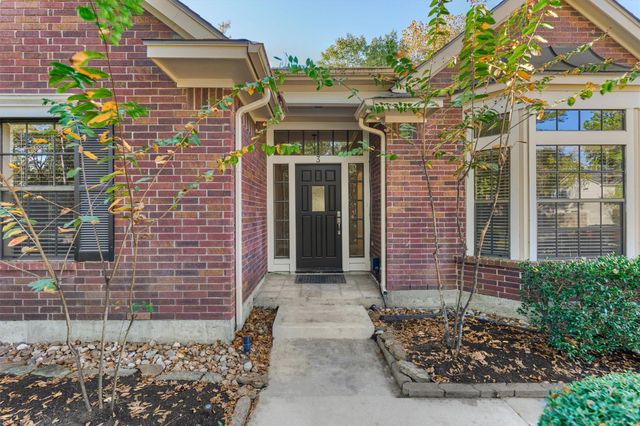 3 Amber Sky Place, The Woodlands, TX 77381