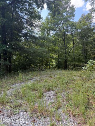 Lot 77 Kudzu Creek Trail Trail, Murphy, NC 28906