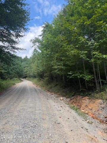Lot 77 Kudzu Creek Trail Trail, Murphy, NC 28906