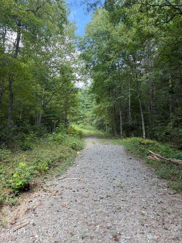 Lot 77 Kudzu Creek Trail Trail, Murphy, NC 28906