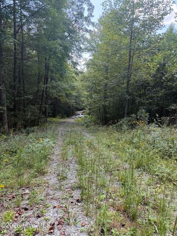 Lot 77 Kudzu Creek Trail Trail, Murphy, NC 28906