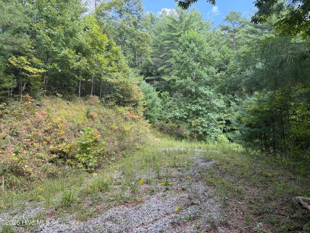 Lot 77 Kudzu Creek Trail Trail, Murphy, NC 28906