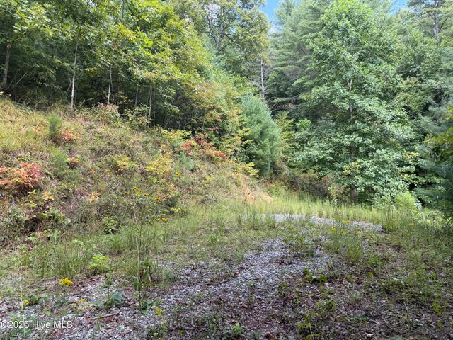 Lot 77 Kudzu Creek Trail Trail, Murphy, NC 28906