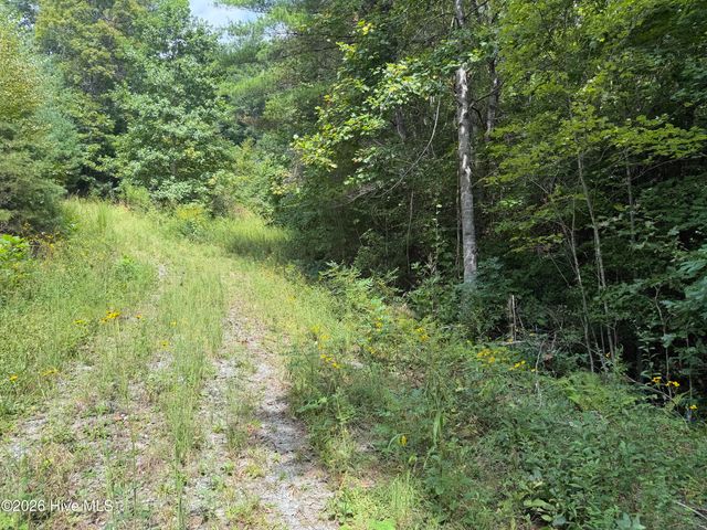 Lot 77 Kudzu Creek Trail Trail, Murphy, NC 28906