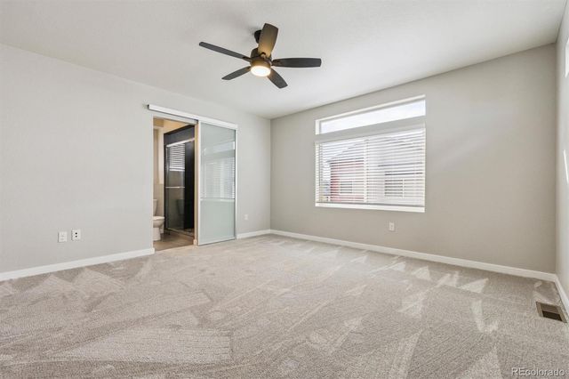 4241 Coriander Street, Castle Rock, CO 80109