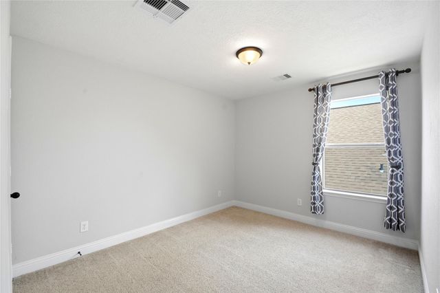 11119 Hayden Falls Drive, Richmond, TX 77406