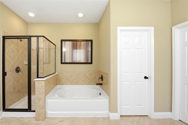 11119 Hayden Falls Drive, Richmond, TX 77406