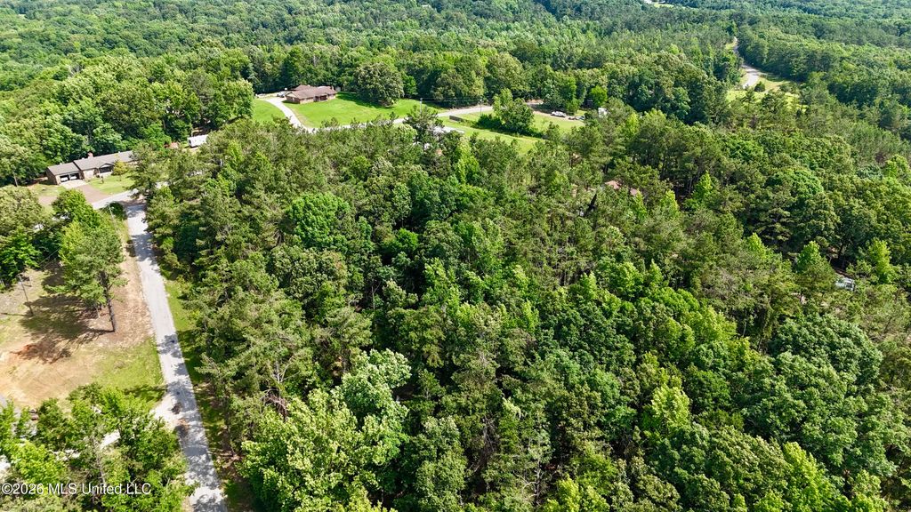 New Hope Road, Como, MS 38619 — photo 3