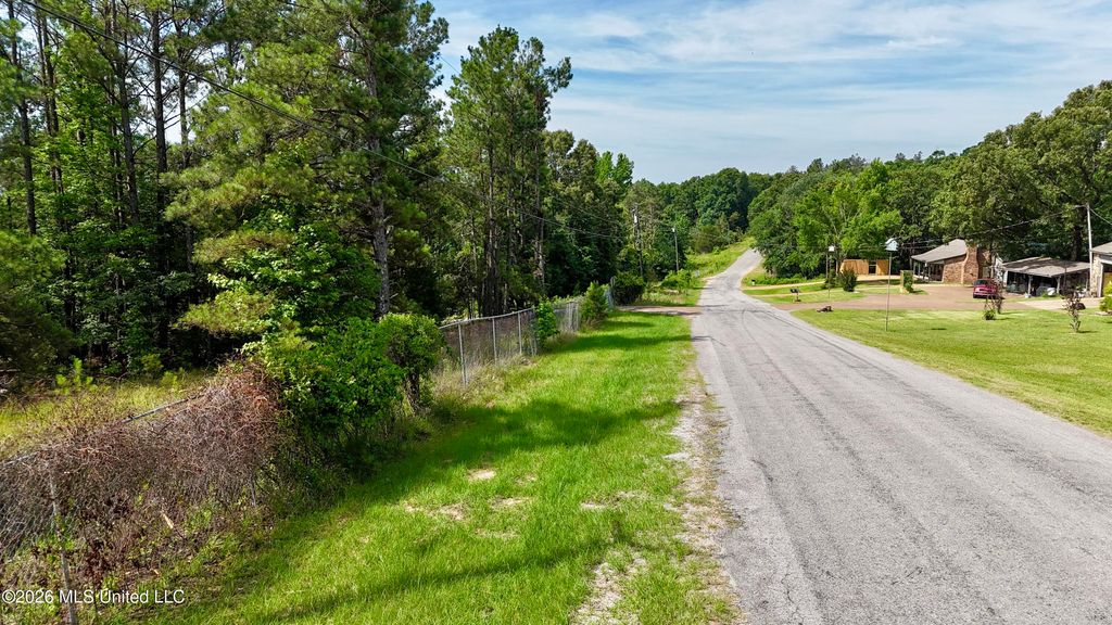 New Hope Road, Como, MS 38619 — photo 4