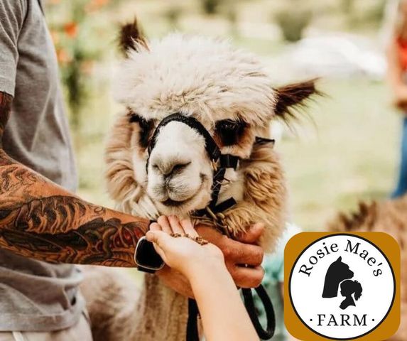 100 Tripp Lane, Trenton, GA 30752