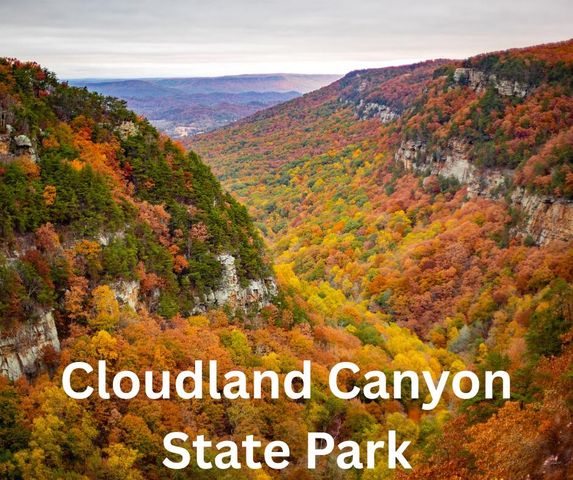 100 Tripp Lane, Trenton, GA 30752